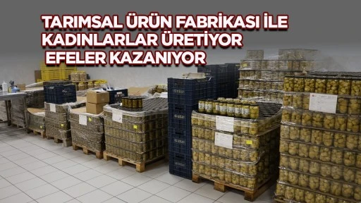 TARIMSAL &Uuml;R&Uuml;N FABRİKASI İLE KADINLARLAR &Uuml;RETİYOR EFELER KAZANIYOR