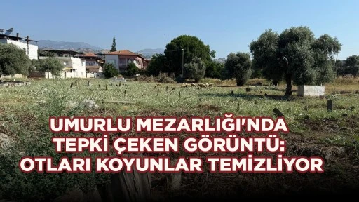 UMURLU MEZARLIĞI'NDA TEPKİ &Ccedil;EKEN G&Ouml;R&Uuml;NT&Uuml;: OTLARI KOYUNLAR TEMİZLİYOR