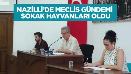 NAZİLLİ&rsquo;DE MECLİS G&Uuml;NDEMİ SOKAK HAYVANLARI OLDU