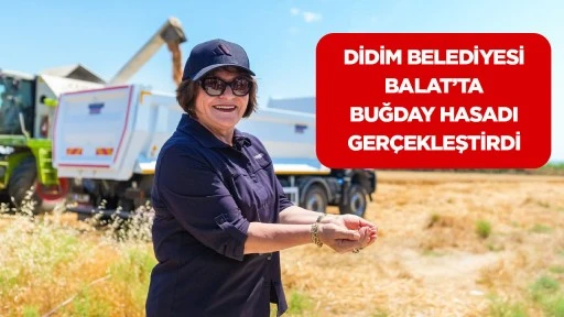 DİDİM BELEDİYESİ BALAT&rsquo;TA BUĞDAY HASADI GER&Ccedil;EKLEŞTİRDİ