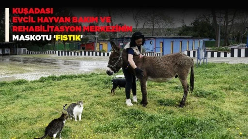 KUŞADASI EVCİL HAYVAN BAKIM VE REHABİLİTASYON MERKEZİNİN MASKOTU &lsquo;FISTIK&rsquo;