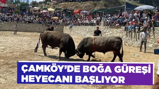 ÇAMKÖY’DE BOĞA GÜREŞİ HEYECANI BAŞLIYOR