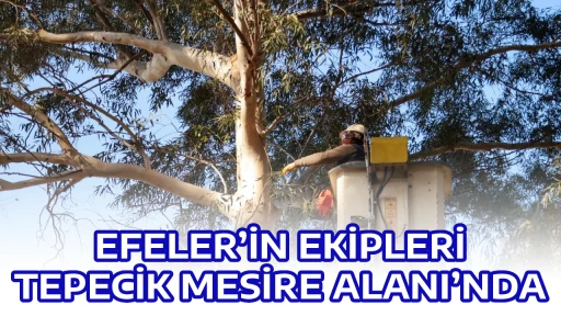 EFELER&rsquo;İN EKİPLERİ TEPECİK MESİRE ALANI&rsquo;NDA