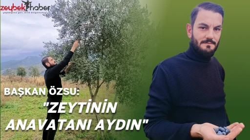 BAŞKAN &Ouml;ZSU: "ZEYTİNİN ANAVATANI "AYDIN"