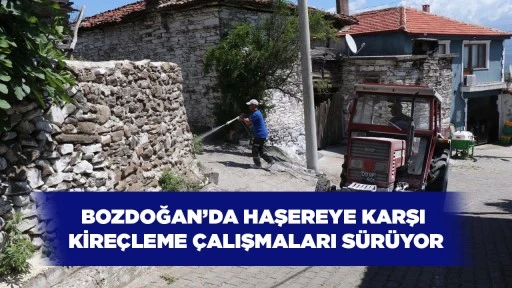 BOZDOĞAN&rsquo;DA HAŞEREYE KARŞI KİRE&Ccedil;LEME &Ccedil;ALIŞMALARI S&Uuml;R&Uuml;YOR