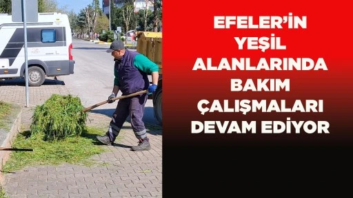 EFELER&rsquo;İN YEŞİL ALANLARINDA BAKIM &Ccedil;ALIŞMALARI DEVAM EDİYOR