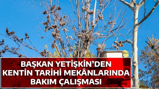 BAŞKAN YETİŞKİN&rsquo;DEN KENTİN TARİHİ MEK&Acirc;NLARINDA BAKIM &Ccedil;ALIŞMASI