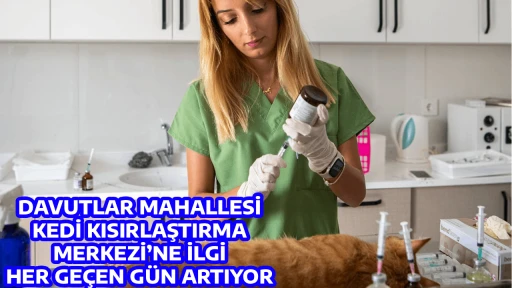 DAVUTLAR MAHALLESİ KEDİ KISIRLAŞTIRMA MERKEZİ&rsquo;NE İLGİ HER GE&Ccedil;EN G&Uuml;N ARTIYOR