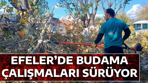 EFELER&rsquo;DE BUDAMA &Ccedil;ALIŞMALARI S&Uuml;R&Uuml;YOR