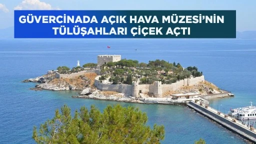 G&Uuml;VERCİNADA A&Ccedil;IK HAVA M&Uuml;ZESİ&rsquo;NİN T&Uuml;L&Uuml;ŞAHLARI &Ccedil;İ&Ccedil;EK A&Ccedil;TI