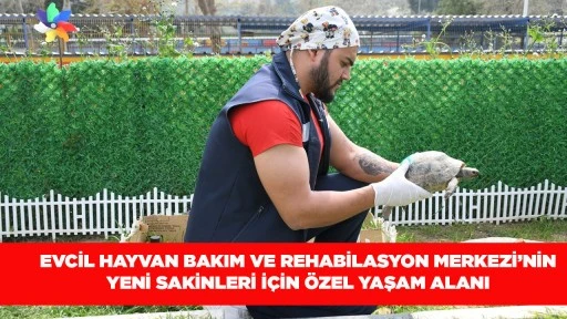  EVCİL HAYVAN BAKIM VE REHABİLASYON MERKEZİ&rsquo;NİN YENİ SAKİNLERİ İ&Ccedil;İN &Ouml;ZEL YAŞAM ALANI