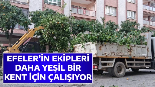 EFELER&rsquo;İN EKİPLERİ DAHA YEŞİL BİR KENT İ&Ccedil;İN &Ccedil;ALIŞIYOR