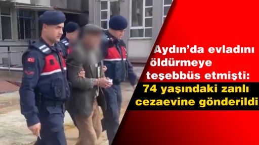 Aydın&rsquo;da evladını öldürmeye teşebbüs etmişti: 74 yaşındaki zanlı cezaevine gönderildi