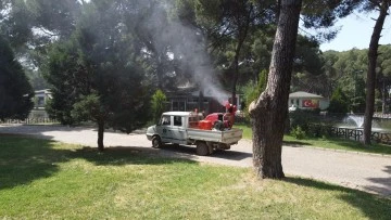 Nazilli Belediyesi ila&ccedil;lama &ccedil;alışmalarına devam ediyor