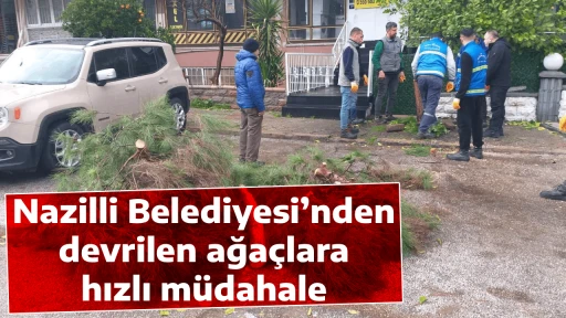 Nazilli Belediyesi&rsquo;nden devrilen ağa&ccedil;lara hızlı m&uuml;dahale