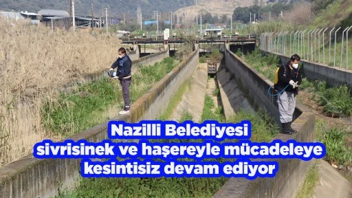 Nazilli Belediyesi sivrisinek ve haşereyle m&uuml;cadeleye kesintisiz devam ediyor
