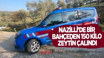 Nazilli&rsquo;de bir bah&ccedil;eden 150 kilo zeytin &ccedil;alındı