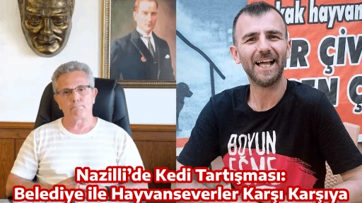 Nazilli&rsquo;de Kedi Tartışması: Belediye ile Hayvanseverler Karşı Karşıya