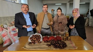 Nazilli'de kestane &uuml;reticileri, coğrafi işaretli &uuml;r&uuml;nlerine sahip &ccedil;ıktı