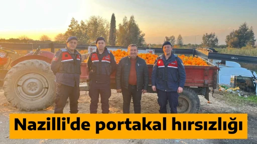 Nazilli'de portakal hırsızlığı