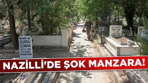 NAZİLLİ'DE ŞOK MANZARA!