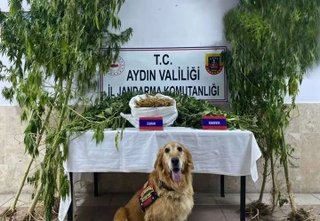 Nazilli&rsquo;de uyuşturucu operasyonu: 1 yakalama