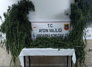 Nazilli&rsquo;de uyuşturucu operasyonu