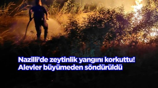 Nazilli&rsquo;de zeytinlik yangını korkuttu! Alevler b&uuml;y&uuml;meden s&ouml;nd&uuml;r&uuml;ld&uuml;
