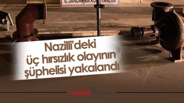 Nazilli'deki &uuml;&ccedil; hırsızlık olayının ş&uuml;phelisi yakalandı