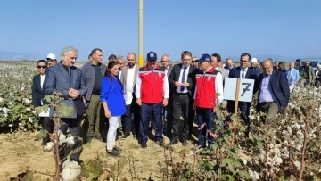 Nazilli Pamuk Enstit&uuml;s&uuml;'n&uuml;n yerli ve milli pamuk &ccedil;eşitleri tanıtıldı