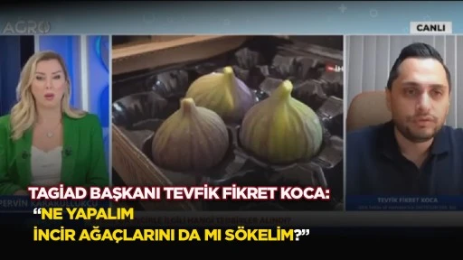 &ldquo;Ne yapalım incir ağa&ccedil;larını da mı s&ouml;kelim?&rdquo;
