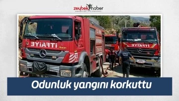 Odunluk yangını korkuttu