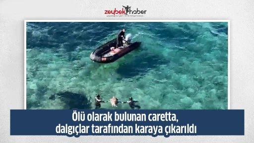 &Ouml;l&uuml; olarak bulunan caretta, dalgı&ccedil;lar tarafından karaya &ccedil;ıkarıldı
