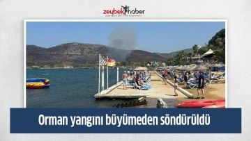Orman yangını b&uuml;y&uuml;meden s&ouml;nd&uuml;r&uuml;ld&uuml;