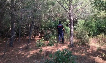 Ormanlık alanda mangal yaktılar, cezadan ka&ccedil;amadılar