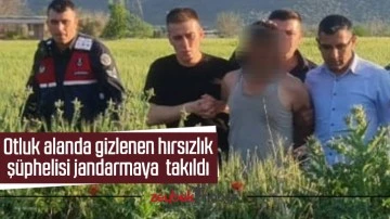 Otluk alanda gizlenen hırsızlık ş&uuml;phelisi jandarmaya takıldı