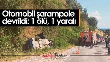 Otomobil şarampole devrildi: 1 &ouml;l&uuml;, 1 yaralı