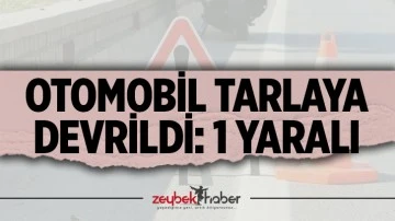 Otomobil tarlaya devrildi: 1 yaralı