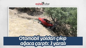 Otomobil yoldan &ccedil;ıkıp ağaca &ccedil;arptı: 3 yaralı