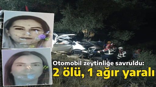Otomobil zeytinliğe savruldu: 2 &ouml;l&uuml;, 1 ağır yaralı