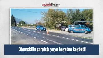 Otomobilin &ccedil;arptığı yaya hayatını kaybetti
