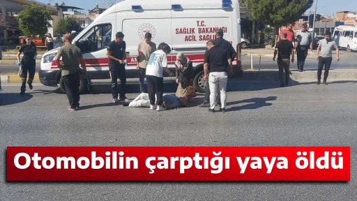 Otomobilin &ccedil;arptığı yaya &ouml;ld&uuml;