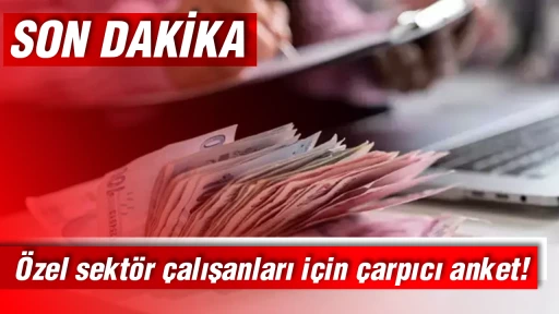 &Ouml;zel sekt&ouml;r &ccedil;alışanları i&ccedil;in &ccedil;arpıcı anket! Maaşlara zam ne olacak?