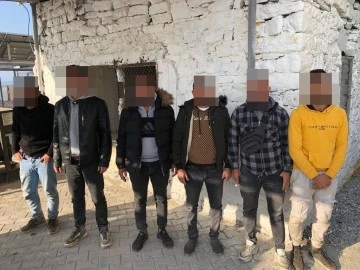 Pamuk tarlasına gizlenmiş 25 d&uuml;zensiz g&ouml;&ccedil;men yakalandı