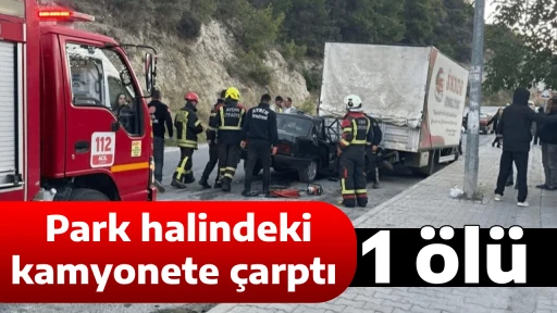 Park halindeki kamyonete &ccedil;arptı: 1 &ouml;l&uuml;