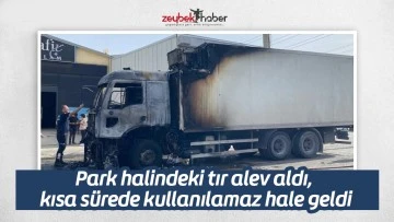 Park halindeki tır alev aldı, kısa s&uuml;rede kullanılamaz hale geldi