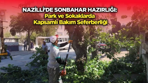 Park ve Sokaklarda Kapsamlı Bakım Seferberliği
