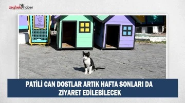 PATİLİ CAN DOSTLAR ARTIK HAFTA SONLARI DA ZİYARET EDİLEBİLECEK