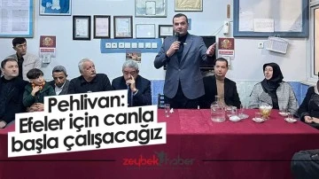 Pehlivan: Efeler i&ccedil;in canla başla &ccedil;alışacağız