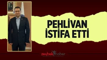 Pehlivan istifa etti
